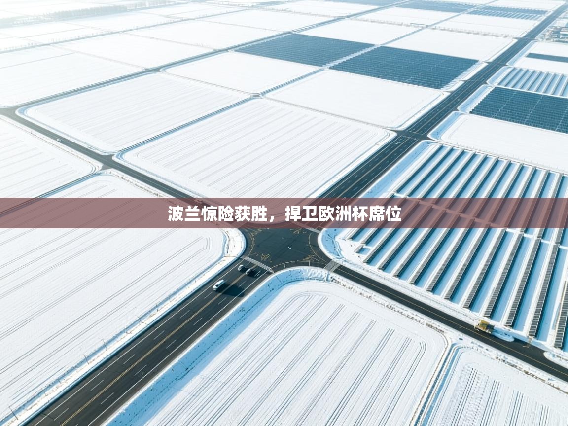 波兰惊险获胜，捍卫欧洲杯席位